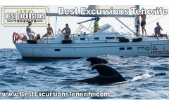 Mola Mola Private Charter